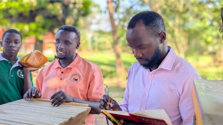 The Environmental Impact of Beekeeping: More Than Just Honey