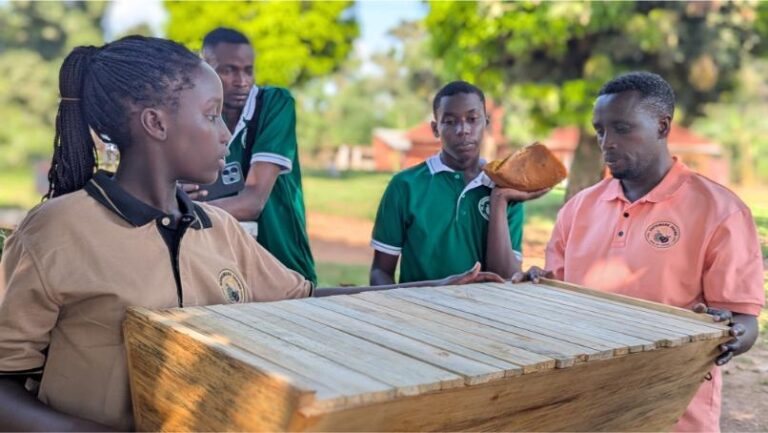 How Sophimark Farms Empowers Farmers Through Training and Support