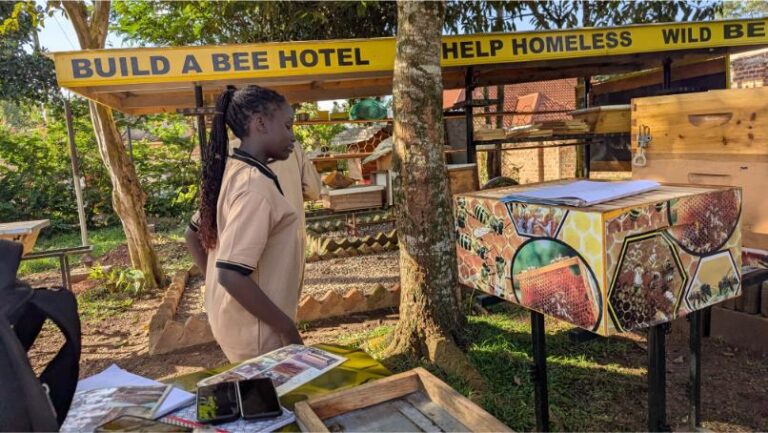 Step-by-Step Guide to Starting Your Beekeeping Journey